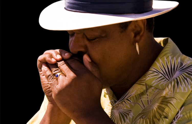 II Фестиваль традиционной американской музыки: Modern Blues Masters