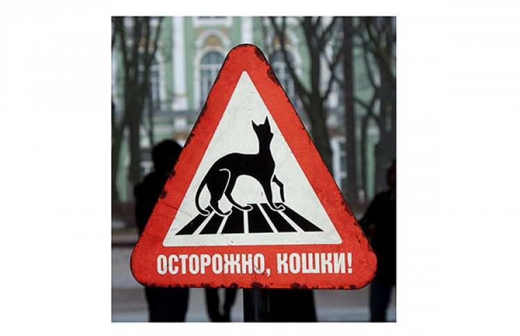 6 апреля в Эрмитаже пройдет «День Мартовского Кота»