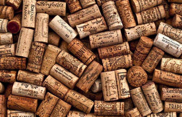 Скоро откроется: Vinostudia