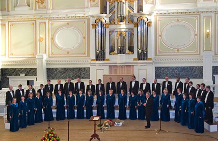 Феи