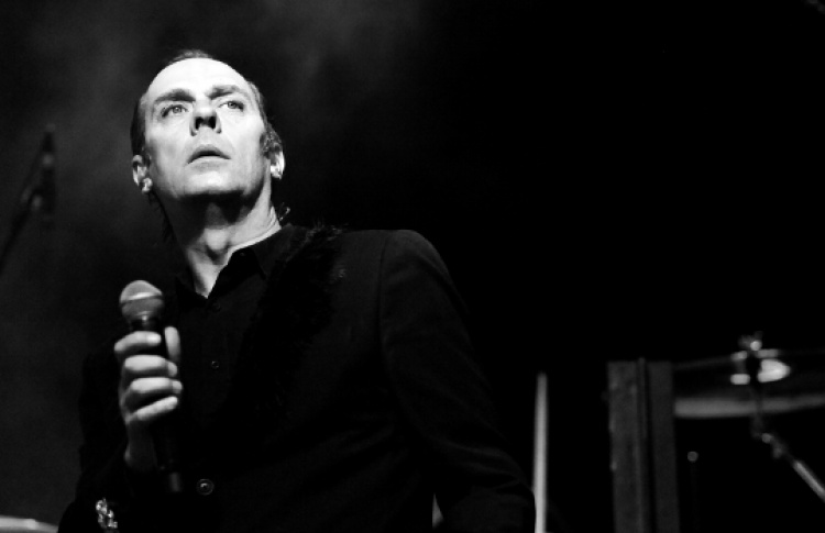 Peter Murphy