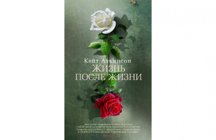 Жизнь после жизни