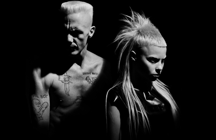 На фестивале Park Live выступят Die Antwoord