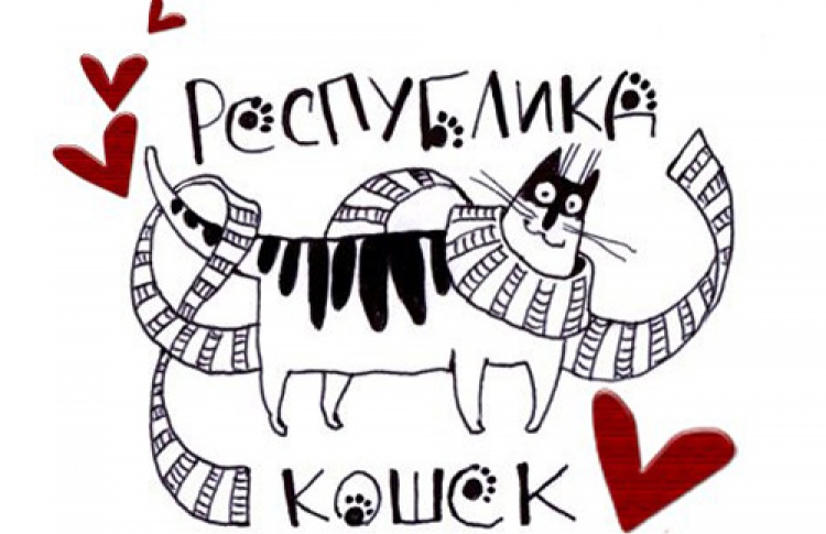 Люди как кошки и кошки как люди