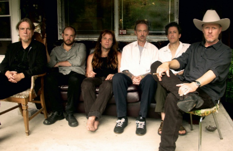 Swans