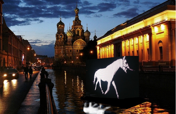 Ночное видение на Неве