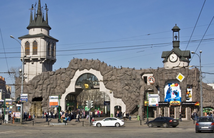 Звезды в зоопарке