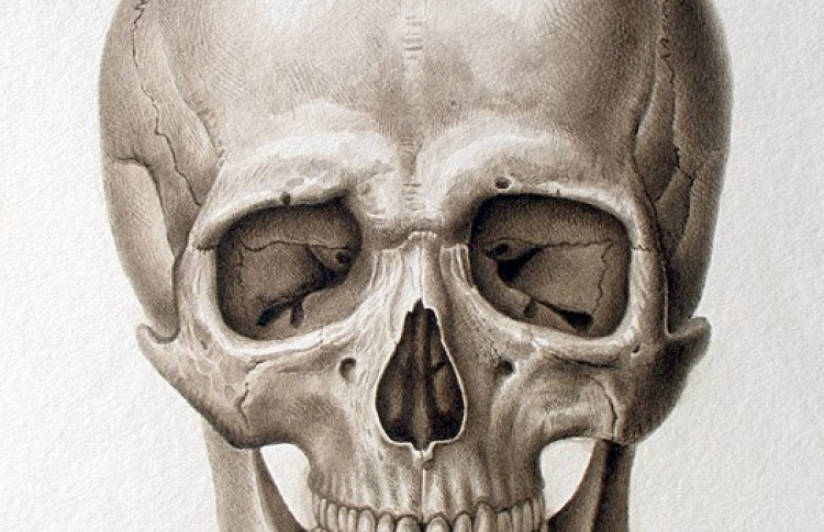 Old Skull Fest
