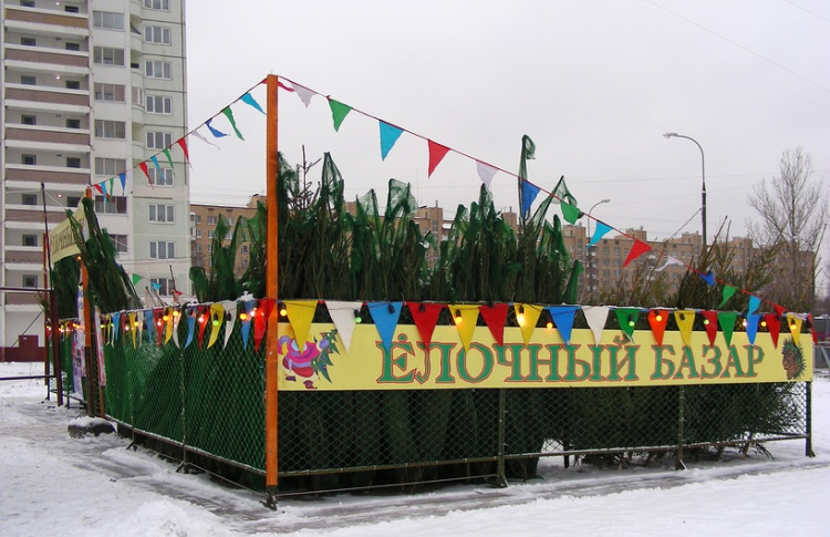 В субботу в Москве начинают работать елочные базары