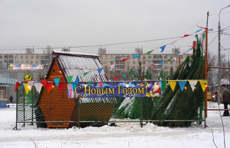 Импортные елки подорожали