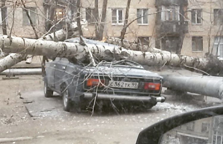 Все, что ветер унес