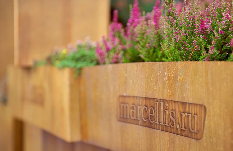 Marcelli’s
