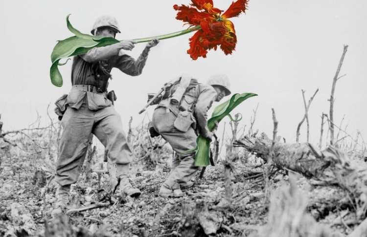 Flora Fantasia