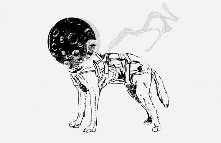 Космос: апорт!