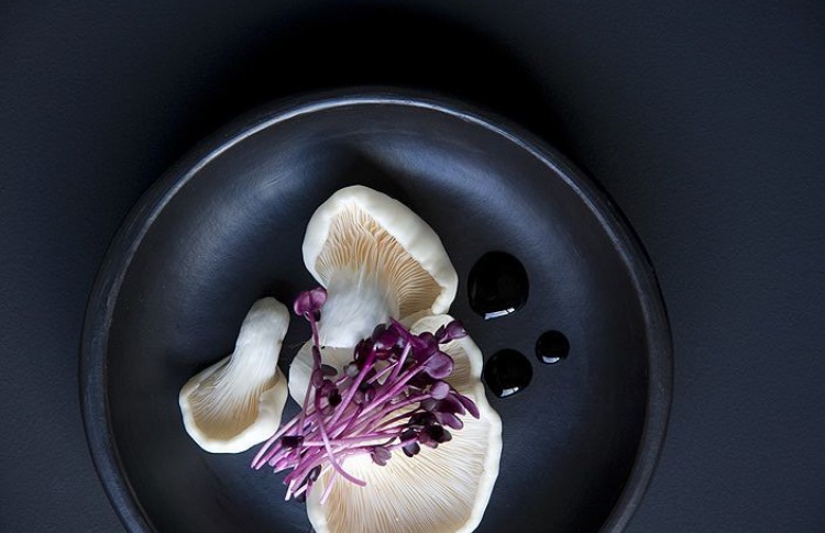 White Rabbit Family открывает Mushrooms