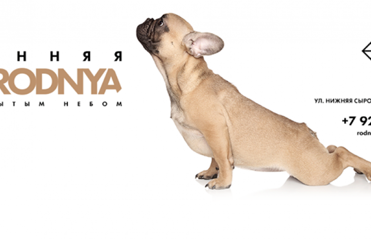 YOGA RODNYA