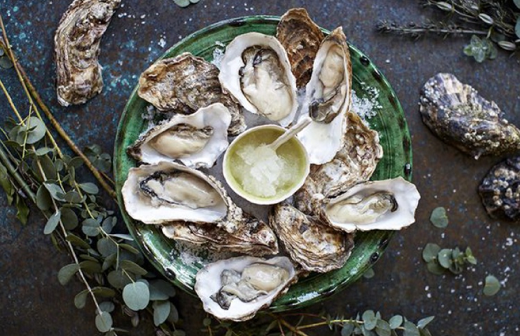 OYSTERS & WINE
