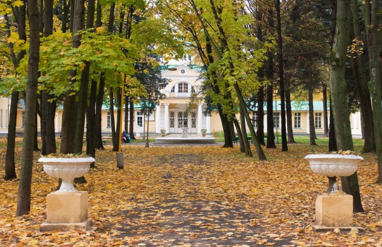 В начале ноября в Москве потеплеет до плюс 10 градусов