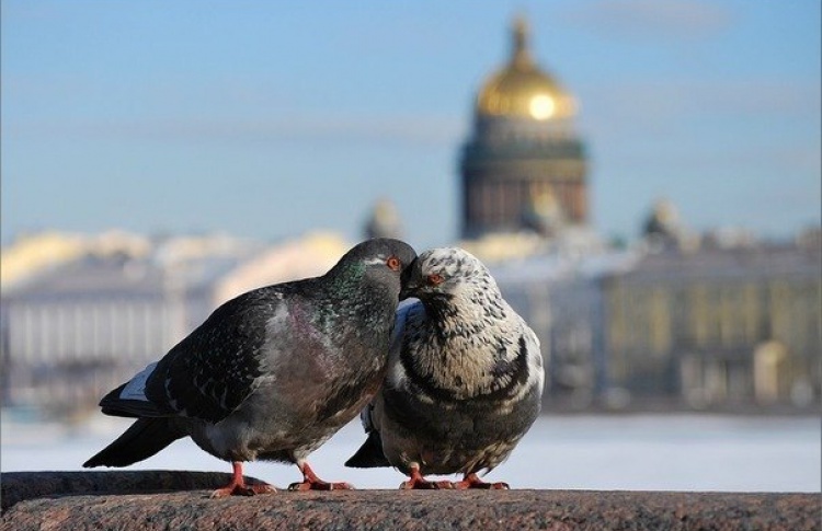 Погода с 15 по 21 февраля, или как зима весну встречает