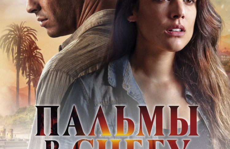 Пальмы в снегу