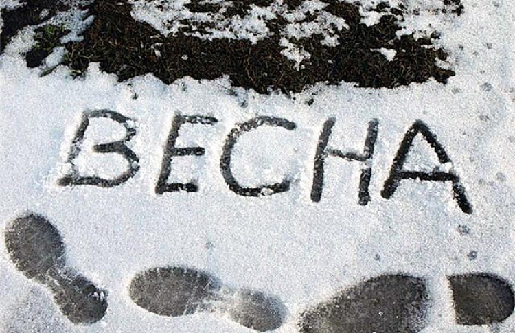 Рано радовались: сегодня ночью будут заморозки
