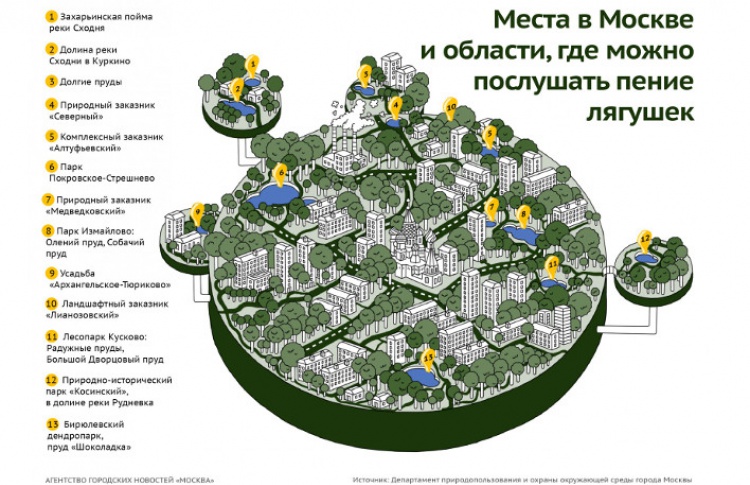 Столичные власти раскрыли места пения лягушек в городе