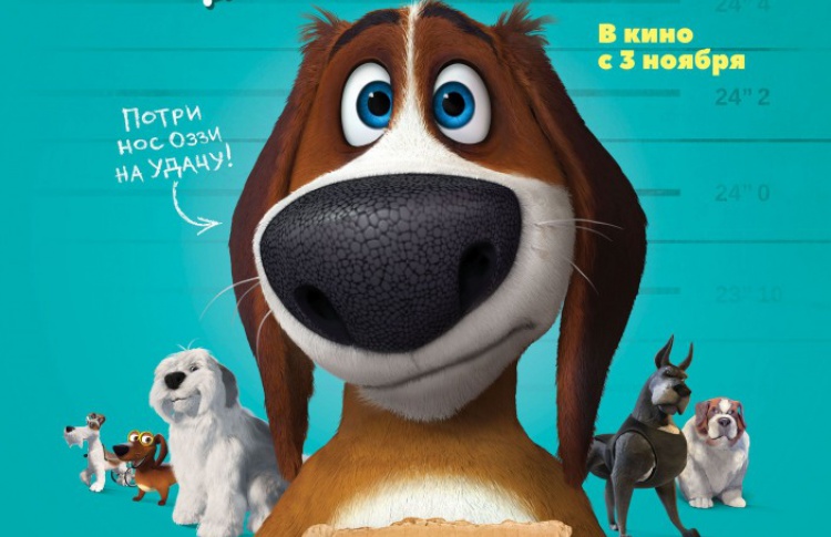Большой собачий побег