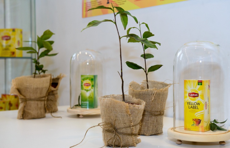 Lipton: живите в мире по-чайному!
