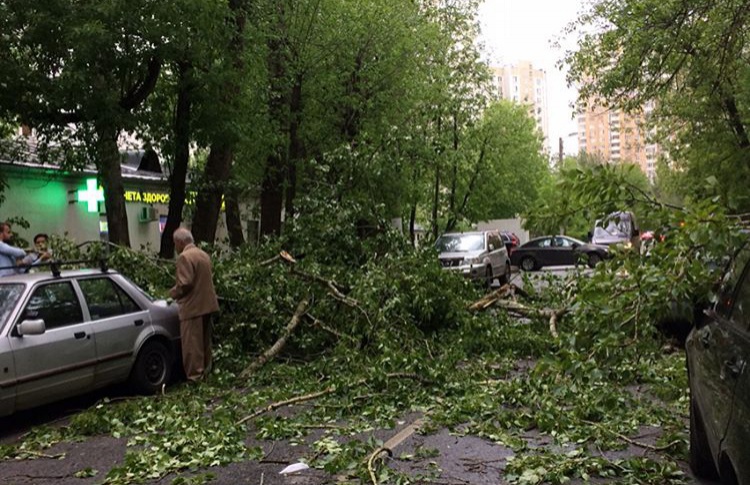 Ураган в Москве повалил 14 тысяч деревьев и повредил 240 домов