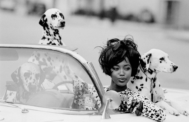 В Москве пройдет выставка в честь 85-летия Nina Ricci