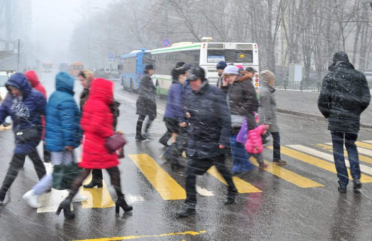 В выходные в Москве выпадет первый снег