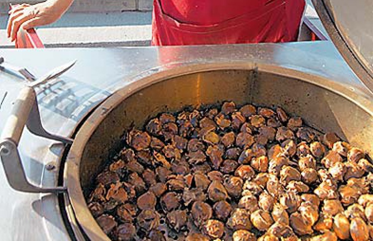 Лучшая закуска к пиву