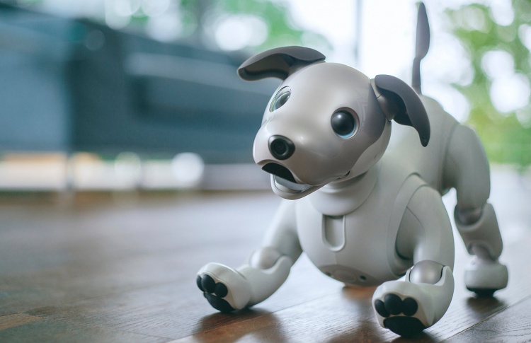 Sony представила нового робопса Aibo