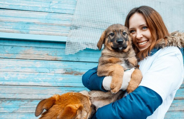 День добрых дел в Москве