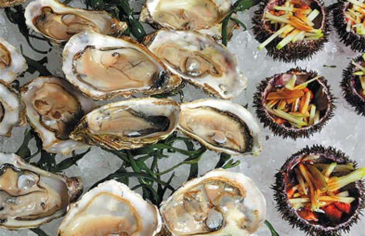 Sea food buffet в "Цифрах"