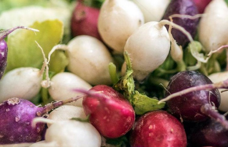 Что такое food waste и почему все снова должны сушить сухари, как в детстве