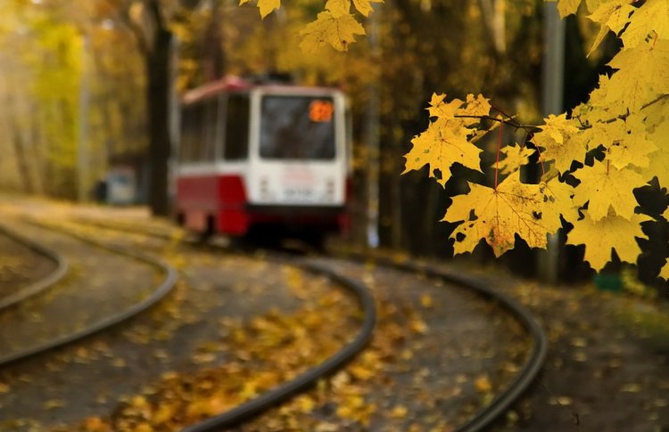 Бабье лето в Москве закончилось