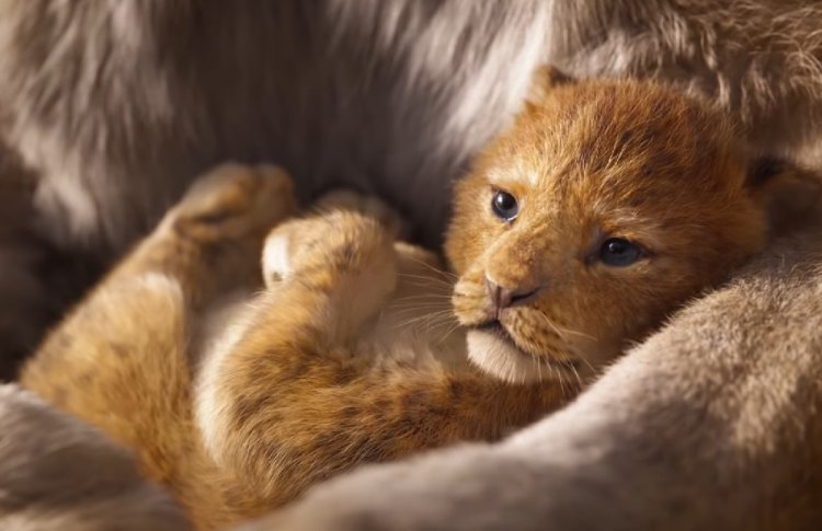 В сети появился тизер будущего «Короля Льва»
