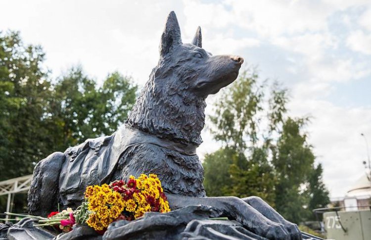 В Москве почтят память четвероногих бойцов