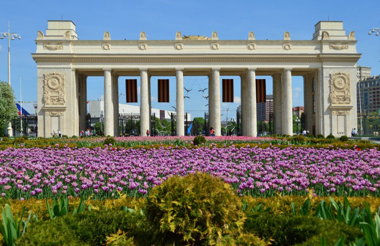 С крыши Парка Горького можно будет увидеть звезды в День города
