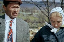 Калина красная