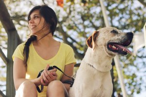 Как понять, что вы готовы завести домашнее животное 