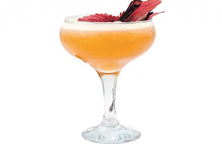 Сезонные коктейли в Tema Bar