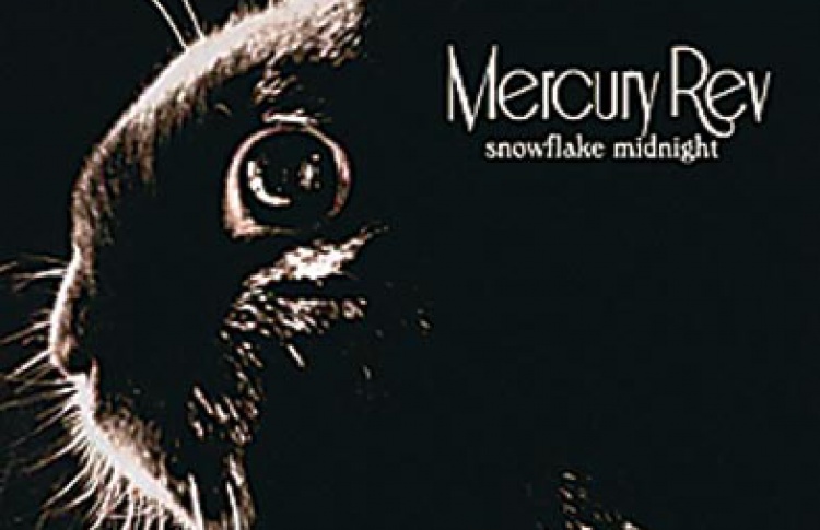 Snowflake Midnight