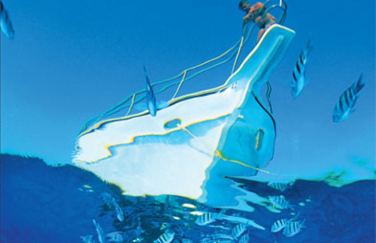 Карибы: море, солнце, свобода