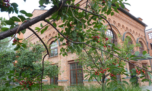 Студия театрального искусства