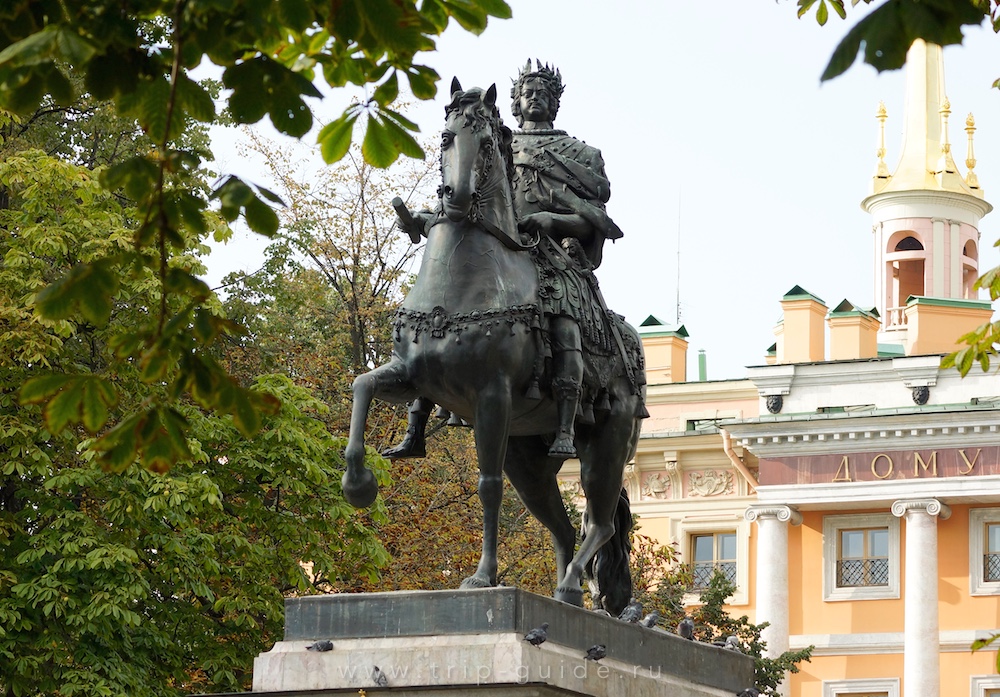 Фото памятника петру i