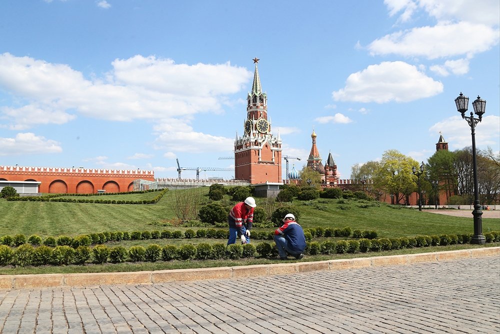 Московский кремль парк. Кремлевский парк Москва. Кремль Москва 14 корпуса Кремля. 14 Корпус Кремля парк. Кремлевский сквер Москва.