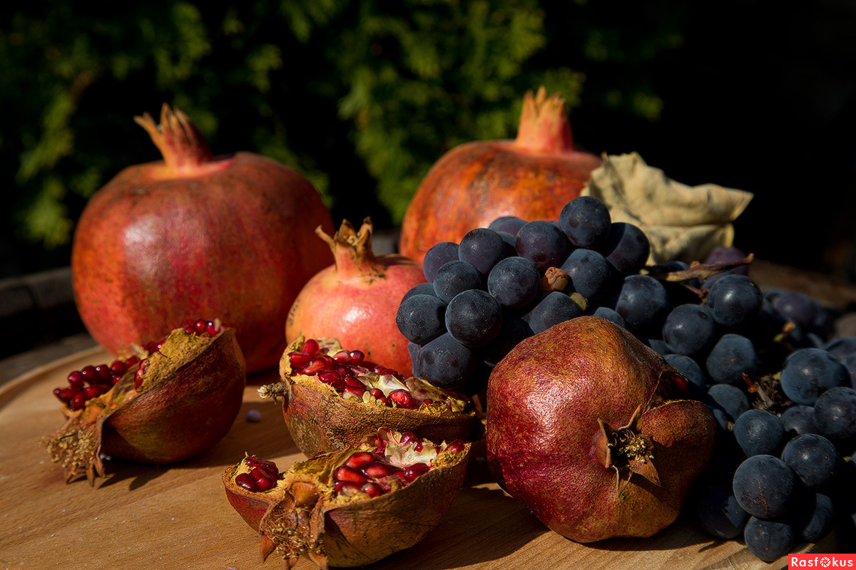 Урожай фруктов. Осенние фрукты. Осенние дары природы. Плоды осени. Дары осени фрукты.