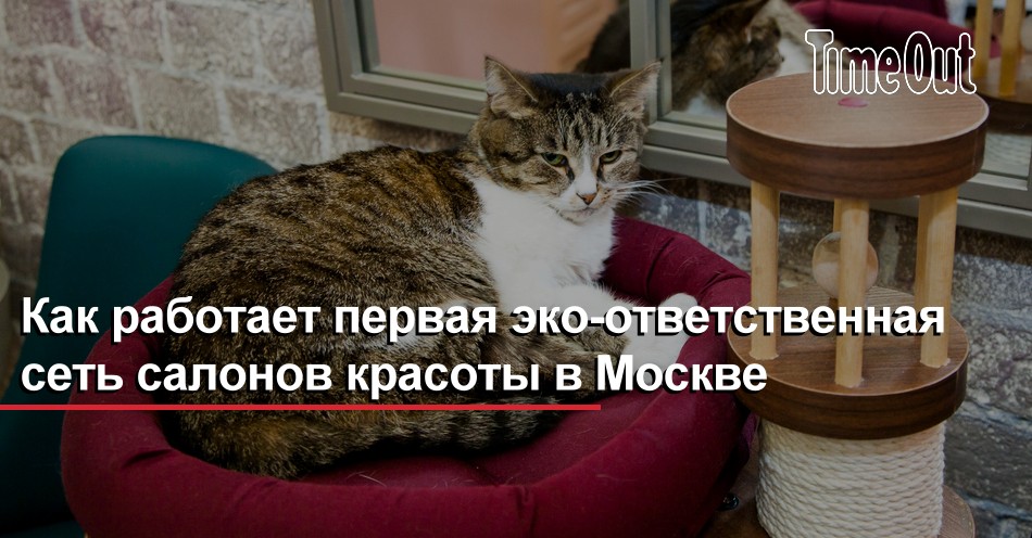 Как работает первая эко-ответственная сеть салонов красоты в Москве